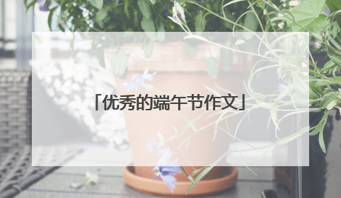 优秀的端午节作文