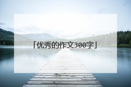优秀的作文300字