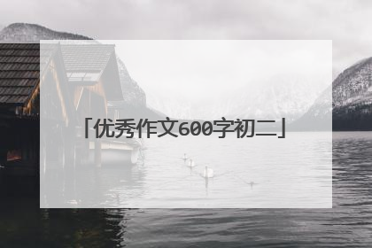 优秀作文600字初二