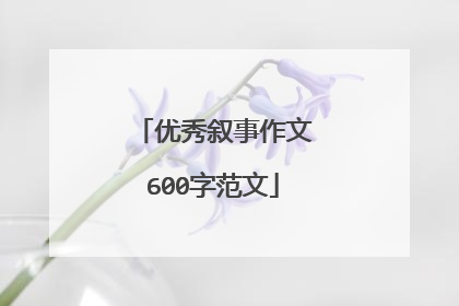 优秀叙事作文600字范文