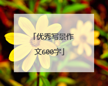 优秀写景作文600字