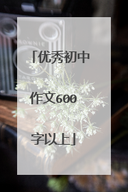 优秀初中作文600字以上