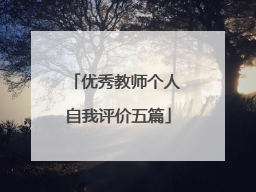 优秀教师个人自我评价五篇