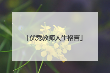 优秀教师人生格言