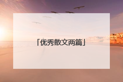 优秀散文两篇