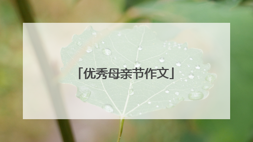 优秀母亲节作文