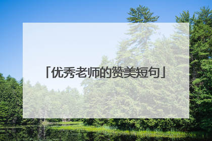 优秀老师的赞美短句