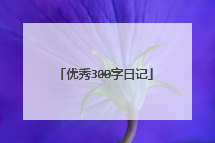 优秀300字日记