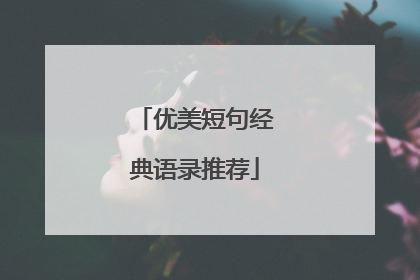 优美短句经典语录推荐