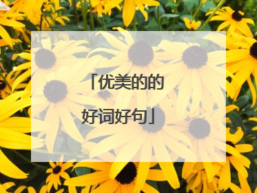 优美的的好词好句