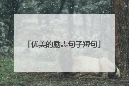 优美的励志句子短句