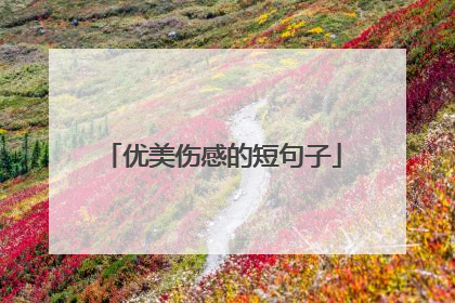优美伤感的短句子