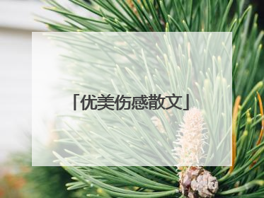 优美伤感散文