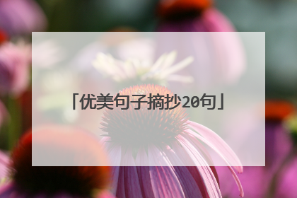 优美句子摘抄20句