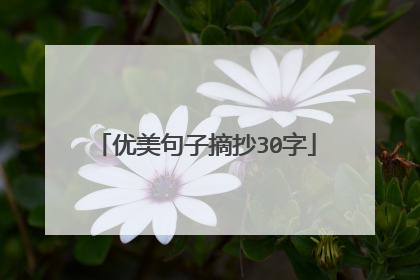 优美句子摘抄30字