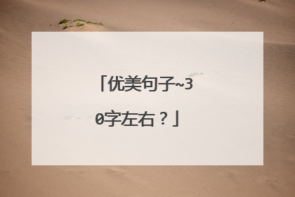 优美句子~30字左右？