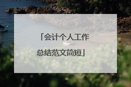 会计个人工作总结范文简短