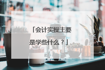 会计实操主要是学些什么?