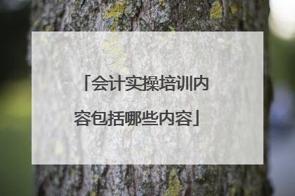 会计实操培训内容包括哪些内容