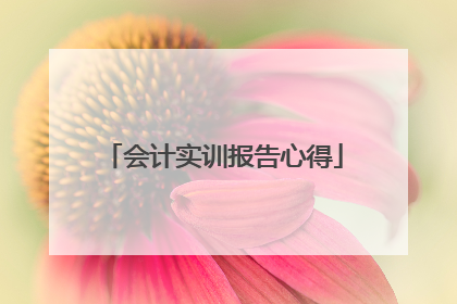 会计实训报告心得