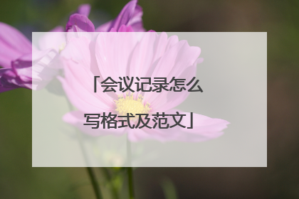 会议记录怎么写格式及范文