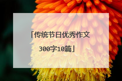 传统节日优秀作文300字10篇