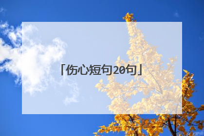 伤心短句20句