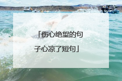 伤心绝望的句子心凉了短句