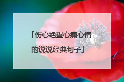 伤心绝望心痛心情的说说经典句子