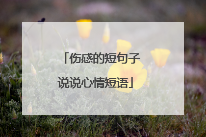 伤感的短句子说说心情短语