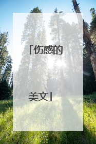 伤感的美文