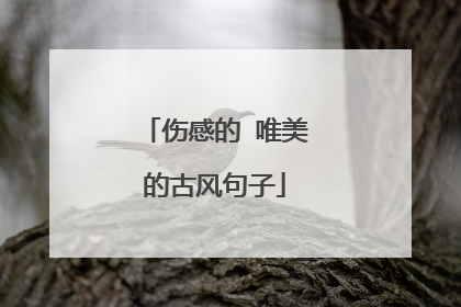 伤感的 唯美的古风句子