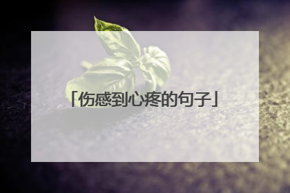 伤感到心疼的句子