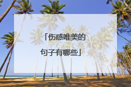伤感唯美的句子有哪些