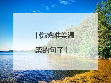 伤感唯美温柔的句子