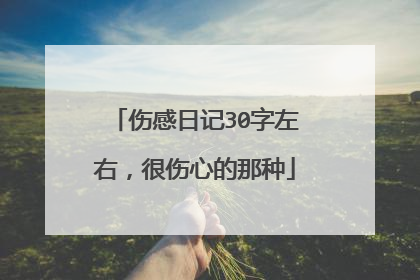 伤感日记30字左右,很伤心的那种