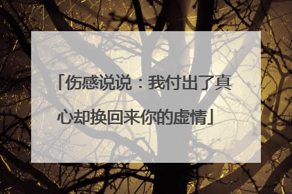 伤感说说：我付出了真心却换回来你的虚情
