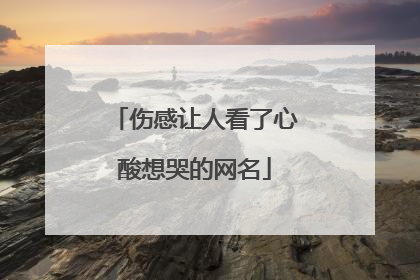 伤感让人看了心酸想哭的网名