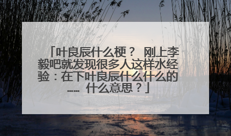 叶良辰什么梗? 刚上李毅吧就发现很多人这样水经验:在下叶良辰什么什么的…… 什么意思?