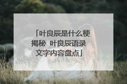 叶良辰是什么梗揭秘 叶良辰语录文字内容盘点