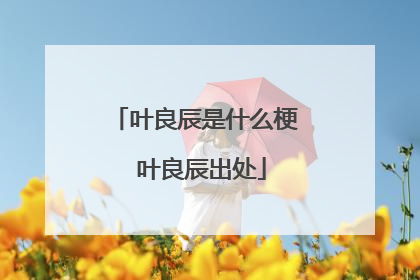 叶良辰是什么梗 叶良辰出处