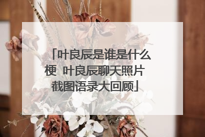 叶良辰是谁是什么梗 叶良辰聊天照片截图语录大回顾