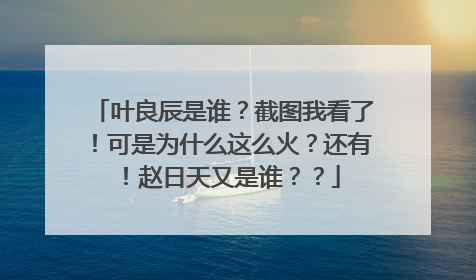 叶良辰是谁?截图我看了!可是为什么这么火?还有!赵日天又是谁??