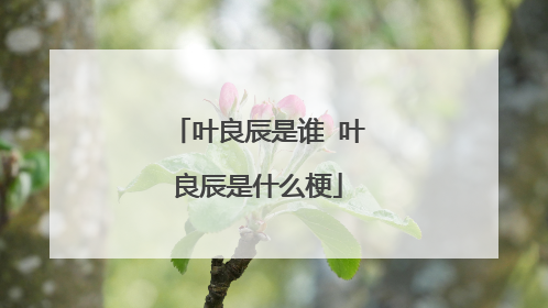 叶良辰是谁 叶良辰是什么梗