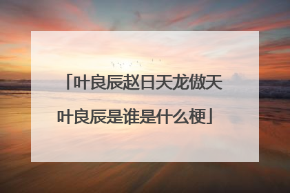叶良辰赵日天龙傲天叶良辰是谁是什么梗