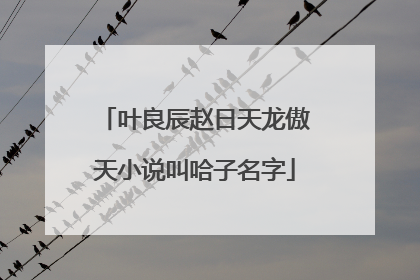 叶良辰赵日天龙傲天小说叫哈子名字