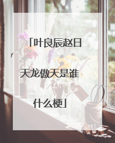 叶良辰赵日天龙傲天是谁什么梗