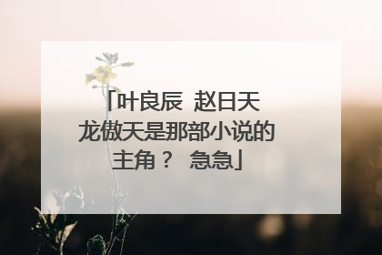 叶良辰 赵日天 龙傲天是那部小说的主角？ 急急