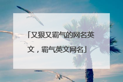 又狠又霸气的网名英文，霸气英文网名