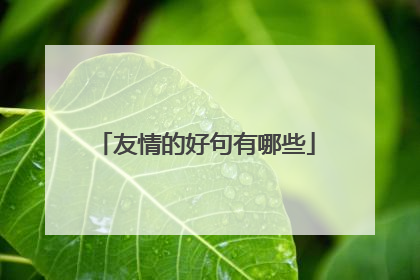 友情的好句有哪些
